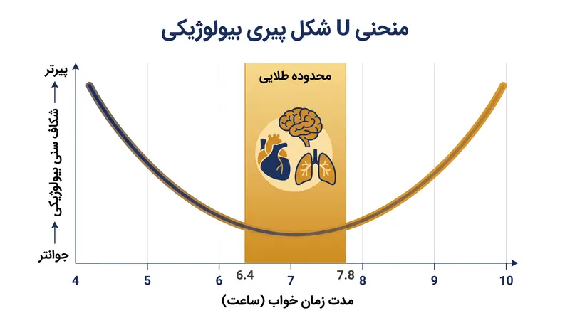 پیری بیولوژیکی زمانی تسریع می‌شود که مدت زمان خواب خارج از بازه ۶.۴ تا ۷.۸ ساعت قرار گیرد.