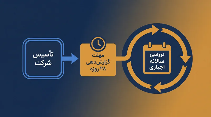 مجموعه قوانین واحد، اختیارات ملی در گزارش‌دهی مالکیت ذینفع را حذف کرده و مهلت‌های سخت‌گیرانه ۲۸ روزه را اعمال می‌کند.