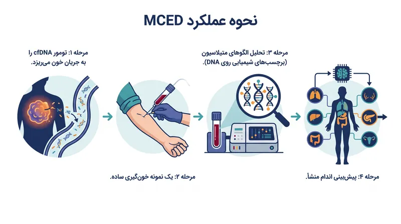 آزمایش‌های تشخیص زودهنگام چندسرطانی برای تعیین منشأ سیگنال سرطان، به بارکدهای متیلاسیون متکی هستند.