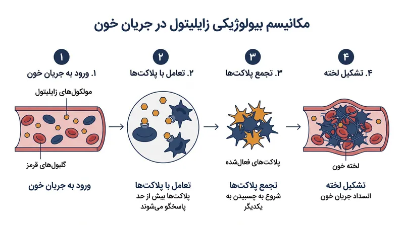 تحقیقات قبلی نشان می‌دهد که غلظت‌های بالای زایلیتول می‌تواند پلاکت‌های خون را نسبت به سیگنال‌های لخته شدن حساس‌تر کند.
