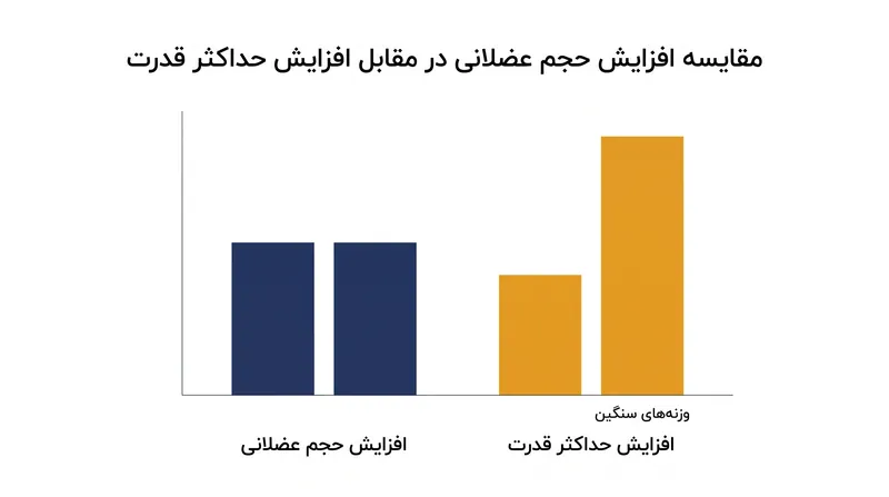 در حالی که حجم عضلانی به طور مساوی افزایش می‌یابد، وزنه‌های سنگین برای ساختن حداکثر قدرت در یک تکرار برتر باقی می‌مانند.