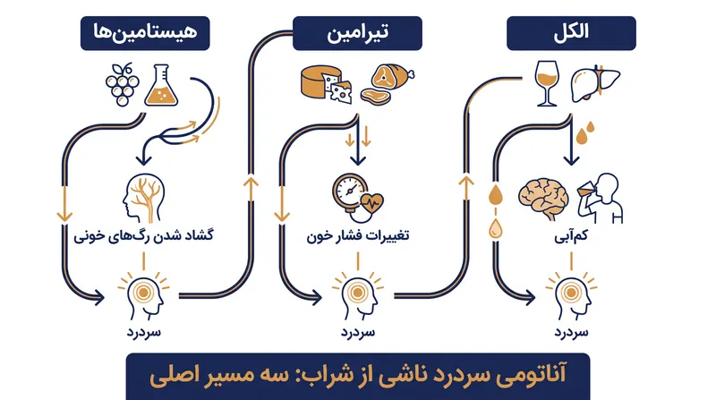 مقصران واقعی پشت سردرد شراب قرمز به احتمال زیاد ترکیبی از هیستامین‌ها، تیرامین و کم‌آبی ناشی از الکل هستند.