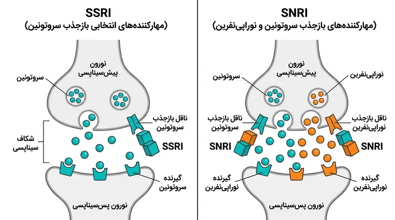دسته‌های مختلف داروهای ضدافسردگی سیستم‌های انتقال‌دهنده عصبی متفاوتی را هدف قرار می‌دهند، که دلیل تفاوت در مشخصات عوارض جانبی آن‌ها است.