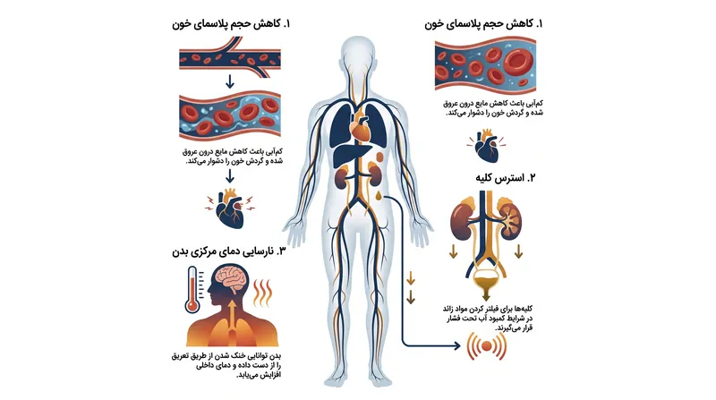 فشار سیستمی ناشی از کاهش سریع آب تقریباً بر هر اندام اصلی تأثیر می‌گذارد.