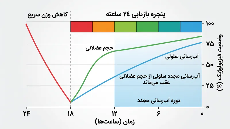 در حالی که عضلات ممکن است در ۲۴ ساعت حجم خود را بازیابند، آب‌رسانی مجدد سلولی و عصبی به طور قابل توجهی زمان بیشتری می‌برد.