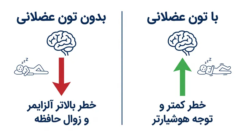 همه اختلالات خواب خطر یکسانی ندارند؛ وجود فعال‌سازی عضلانی در طول بیدارشدگی یک عامل تمایز کلیدی است.