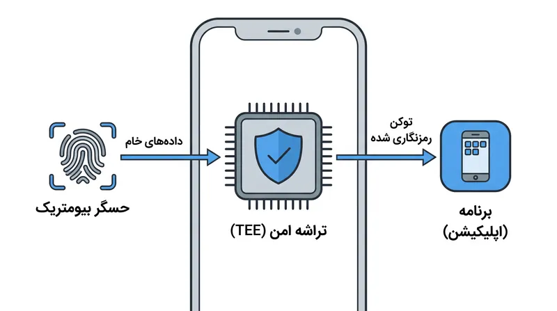 داده‌های خام بیومتریک در محیط‌های امن سخت‌افزاری ایزوله‌شده نگهداری می‌شوند.