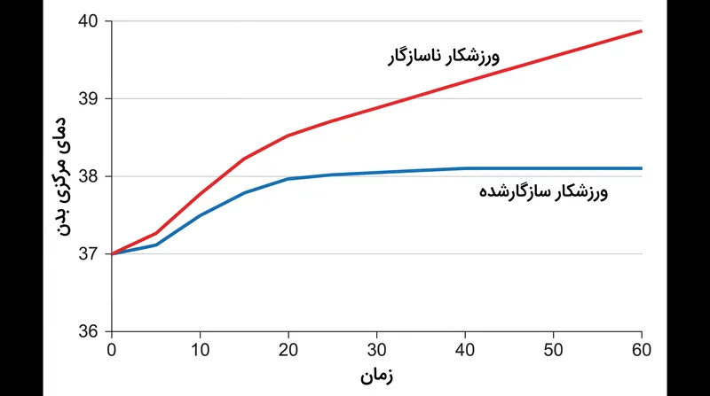 ورزشکاران سازگارشده به دلیل تعریق زودتر و کارآمدتر، دمای مرکزی بدن پایین‌تری را در طول فعالیت حفظ می‌کنند.