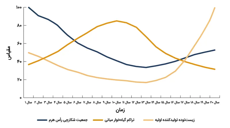 با احیای جمعیت شکارچیان، فشار چرای گیاه‌خواران کاهش می‌یابد و به زیست‌توده گیاهی و جلبکی اجازه می‌دهد تا به سرعت بازگردد.