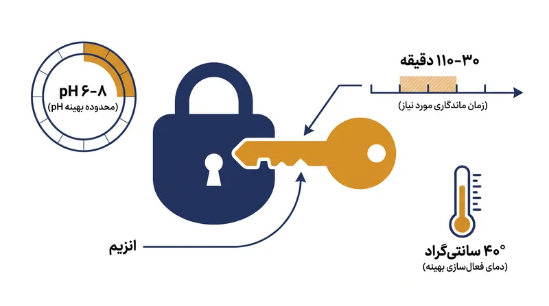 آنزیم‌ها برای کاتالیز موفقیت‌آمیز تجزیه مواد آلی به شرایط محیطی خاص و زمان ماندگاری کافی نیاز دارند.