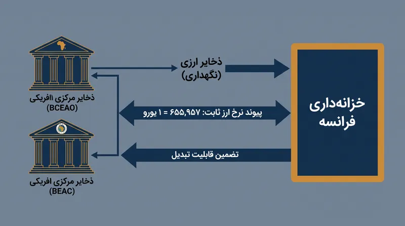 سازوکار ساختاری بر تثبیت نرخ ارز با یورو متکی است که توسط خزانه‌داری فرانسه در ازای ذخایر ارزی متمرکز، تضمین می‌شود.