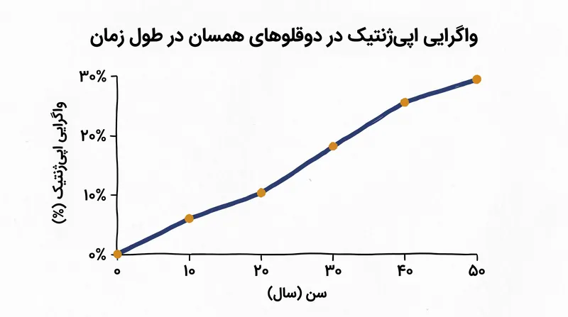 با افزایش سن دوقلوهای همسان، اپی‌ژنوم‌های در ابتدا یکسان آن‌ها به دلیل مواجهه‌های محیطی متفاوت، واگرا می‌شوند.