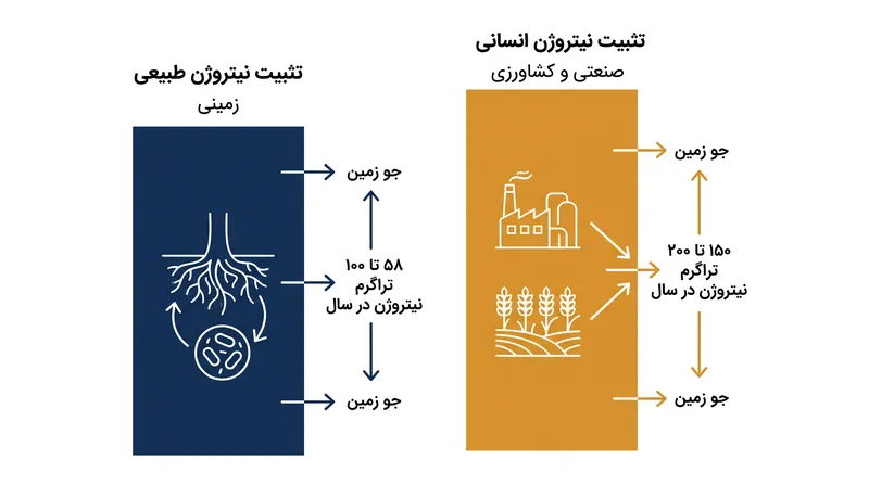 فعالیت‌های انسانی اکنون تقریباً دو برابر کل فرآیندهای طبیعی زمینی، نیتروژن واکنش‌پذیر وارد زیست‌کره می‌کند.