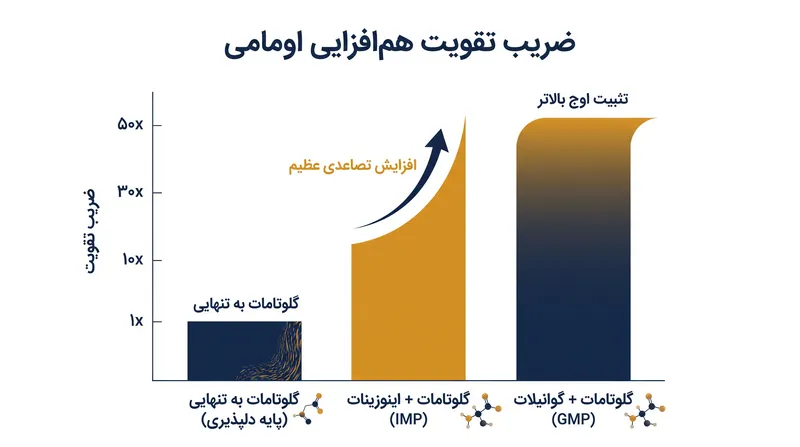 هنگامی که نوکلئوتیدهایی مانند IMP یا GMP با گلوتامات ترکیب می‌شوند، سیگنال گیرنده به مغز به صورت تصاعدی تقویت می‌شود.