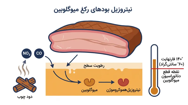 حلقه دود زمانی تشکیل می‌شود که گازهای چوب با میوگلوبین واکنش دهند، قبل از اینکه دمای گوشت به ۱۴۰ درجه فارنهایت برسد.