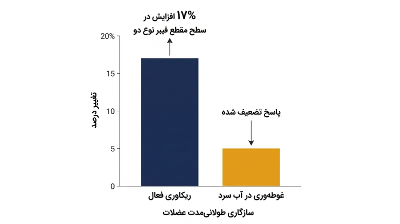 ریکاوری فعال در مقایسه با غوطه‌وری فوری در آب سرد، افزایش قابل توجهی در اندازه فیبر عضلانی نوع دو ایجاد می‌کند.