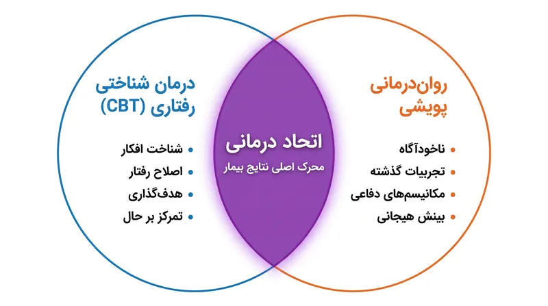 محققان به طور فزاینده‌ای به «عوامل مشترک» درمان، به ویژه رابطه با درمانگر، به عنوان محرک واقعی بهبودی اشاره می‌کنند.