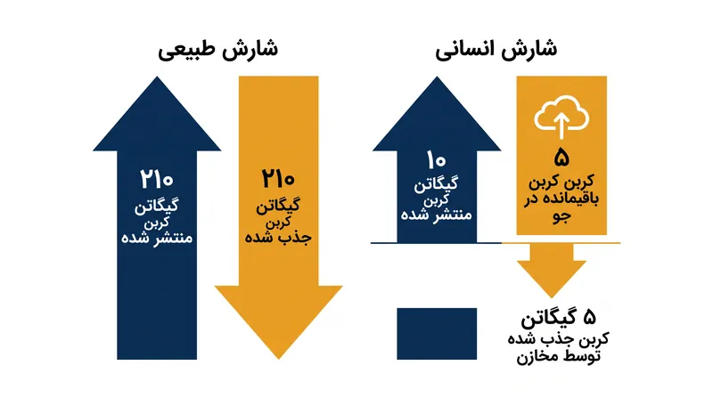 در حالی که شارش‌های طبیعی کربن عظیم هستند، در تعادل عمل می‌کنند. انتشار کربن انسانی یک مازاد نامتعادل را وارد می‌کند.