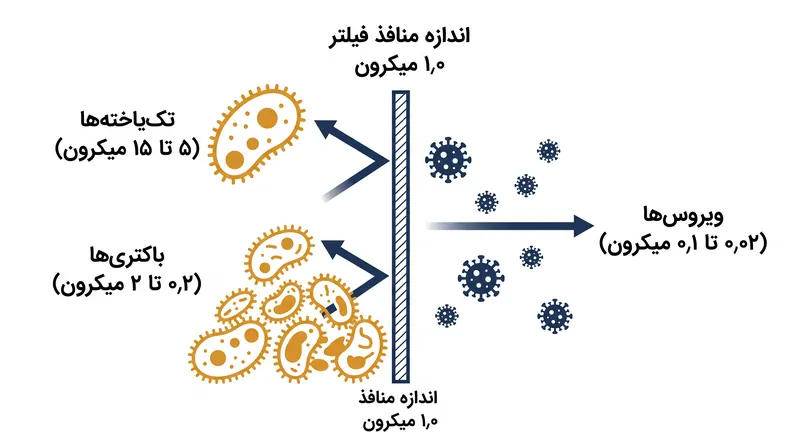 فیلترهای استاندارد طبیعت‌گردی عوامل بیماری‌زای بزرگ‌تر را به صورت فیزیکی به دام می‌اندازند اما به ویروس‌های میکروسکوپی اجازه عبور می‌دهند.