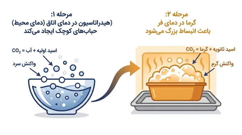 بکینگ پودر دوکاره یک پف اولیه در حین مخلوط کردن و یک انبساط ثانویه و قوی‌تر در فر ایجاد می‌کند.