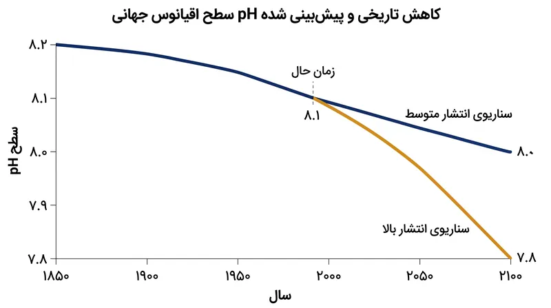 سطوح تاریخی و پیش‌بینی شده pH سطح اقیانوس جهانی تحت سناریوهای مختلف انتشار.