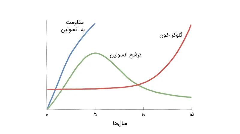 گلوکز خون یک شاخص تأخیری است. مقاومت به انسولین و ترشح بیش از حد جبرانی سال‌ها قبل از تشخیص بالینی دیابت آغاز می‌شوند.