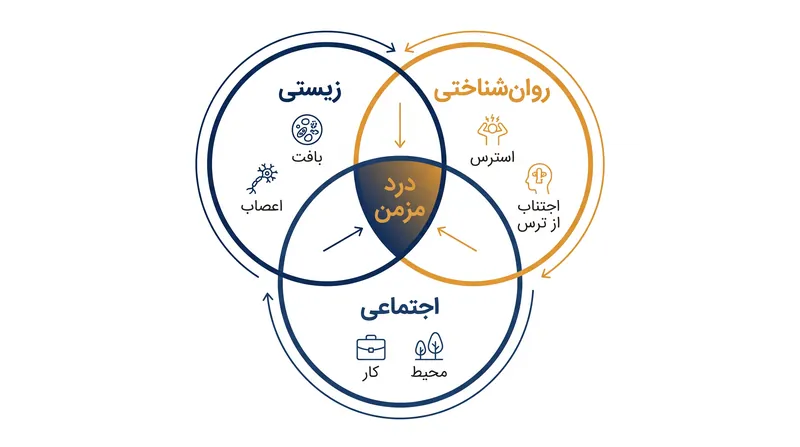 مدیریت نوین درد به عوامل زیستی، روان‌شناختی و اجتماعی که درد مزمن را تقویت می‌کنند، می‌پردازد.