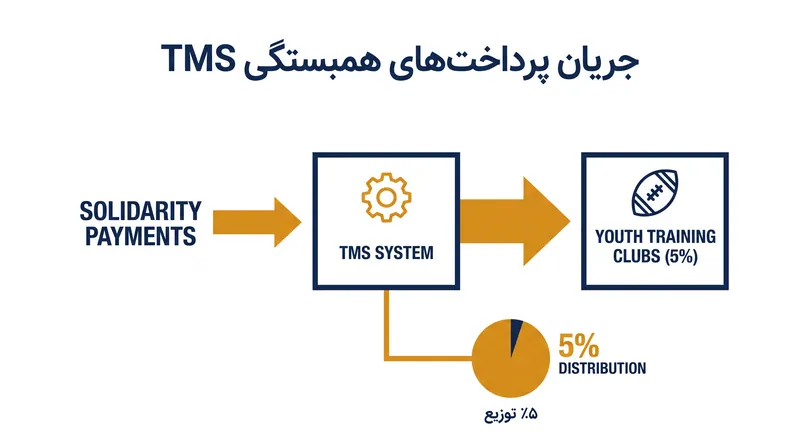 TMS به طور خودکار سهم همبستگی ۵ درصدی را محاسبه می‌کند و تضمین می‌کند که باشگاه‌های پایه‌ای برای پرورش استعدادهای نخبه غرامت دریافت کنند.