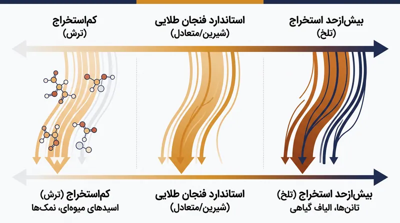 ترکیبات قهوه با یک توالی قابل پیش‌بینی حل می‌شوند، که ایجاب می‌کند دم‌کنندگان فرآیند را قبل از غلبه تانن‌های تلخ متوقف کنند.
