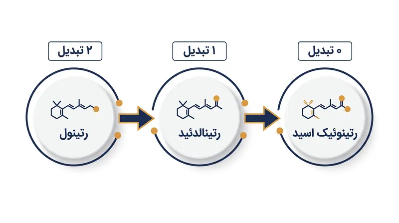 مسیر متابولیک رتینوئیدهای موضعی، سرعت و پتانسیل تحریک آن‌ها را تعیین می‌کند.