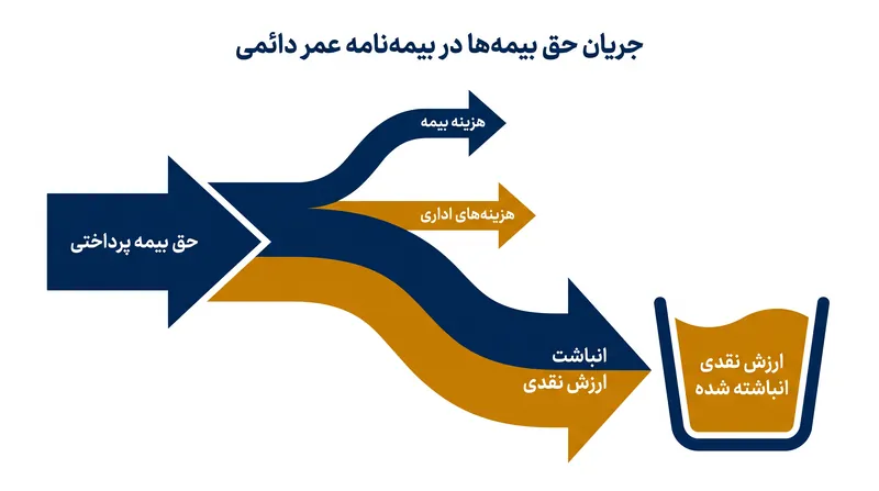 برخلاف بیمه مدت‌دار، بیمه‌نامه‌های دائمی حق بیمه‌ها را بین هزینه خالص بیمه و یک ذخیره نقدی رو به رشد تقسیم می‌کنند.