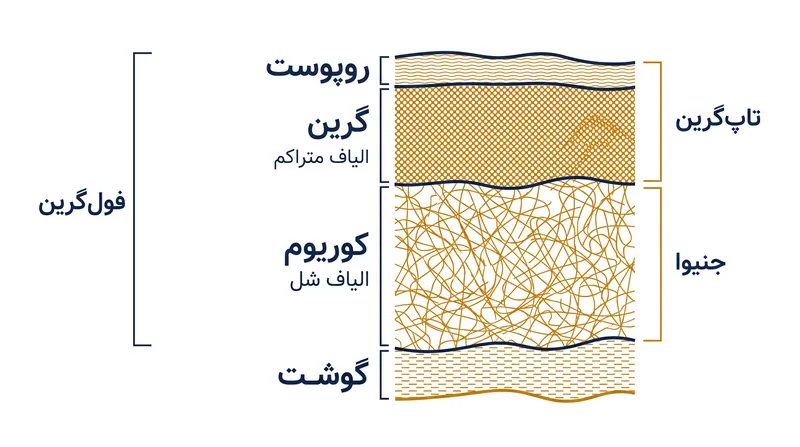 درجات چرم بر اساس لایه‌ای که از پوست حیوان استفاده می‌شود تعیین می‌گردد، به طوری که قوی‌ترین الیاف در بالاترین قسمت قرار دارند.