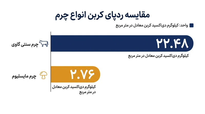 چرم مایسلیوم کاهش ۸۷ درصدی در انتشار کربن نسبت به چرم سنتی گاوی ارائه می‌دهد.