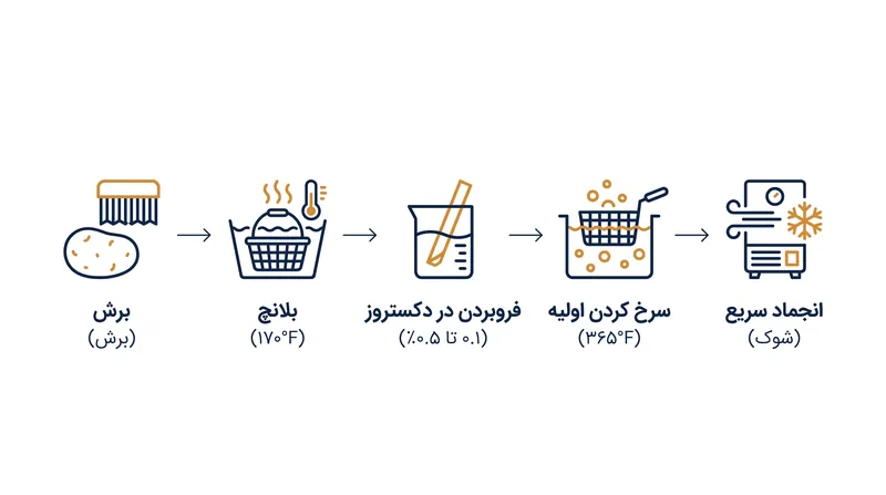 سفر صنعتی یک سیب‌زمینی از غده خام تا محصول منجمد و نیم‌پز شده.