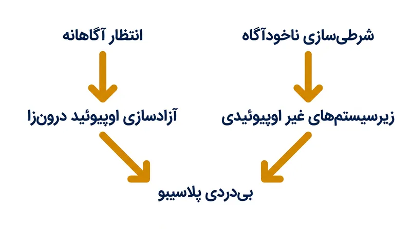 تشریح عصبی-دارویی نشان می‌دهد که باور و عادت‌پذیری از سخت‌افزارهای عصبی-زیستی کاملاً متفاوتی استفاده می‌کنند.