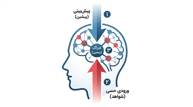 کدگذاری پیش‌بینانه نشان می‌دهد که مغز دائماً احتمالات پیشین را طرح‌ریزی می‌کند و تنها داده‌های حسی را که با آن‌ها در تضاد هستند، پردازش می‌کند.