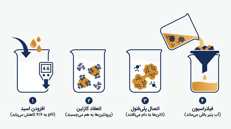 مکانیسم شیمیایی شفاف‌سازی شیر متکی بر رسیدن پروتئین‌های کازئین به نقطه ایزوالکتریک خود است.