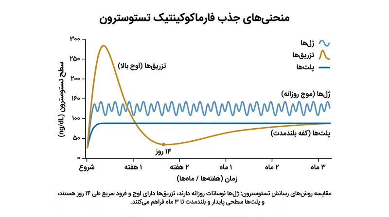 روش‌های مختلف رسانش منجر به منحنی‌های تستوسترون سرم بسیار متفاوتی در طول زمان می‌شوند.