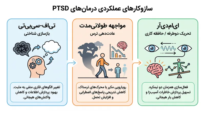 هر درمان، پاسخ تروما را از طریق یک سازوکار بیولوژیکی و روان‌شناختی اساساً متفاوت هدف قرار می‌دهد.