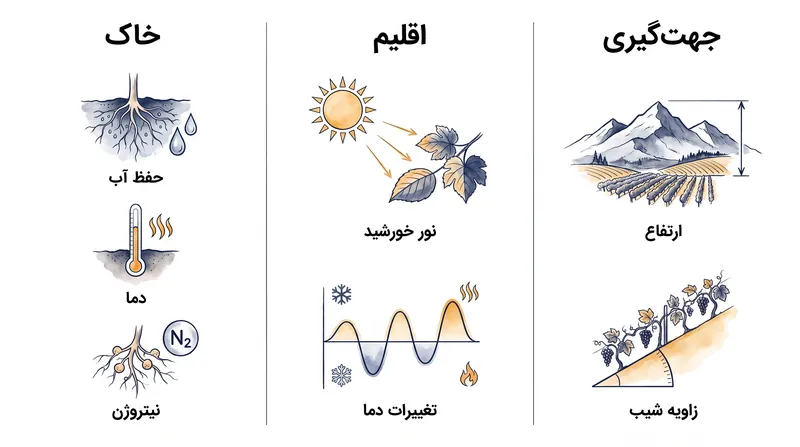 سه عامل اصلی محیطی که تروآر یک تاکستان را تعیین می‌کنند.