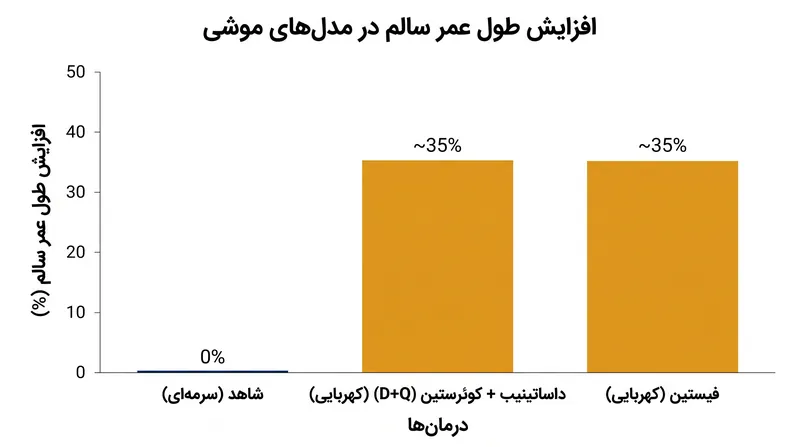 مدل‌های اولیه حیوانی، افزایش قابل توجه طول عمر سالم را با استفاده از ترکیبات سنولیتیک نشان می‌دهند.