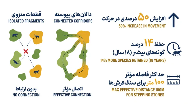 دالان‌های ساختاری پیوسته مزایای قابل اندازه‌گیری و بلندمدتی برای تحرک گونه‌ها و حفظ تنوع زیستی فراهم می‌کنند.