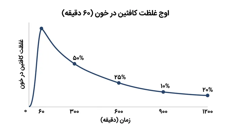 غلظت کافئین در خون تقریباً ۶۰ دقیقه پس از مصرف به اوج خود می‌رسد.