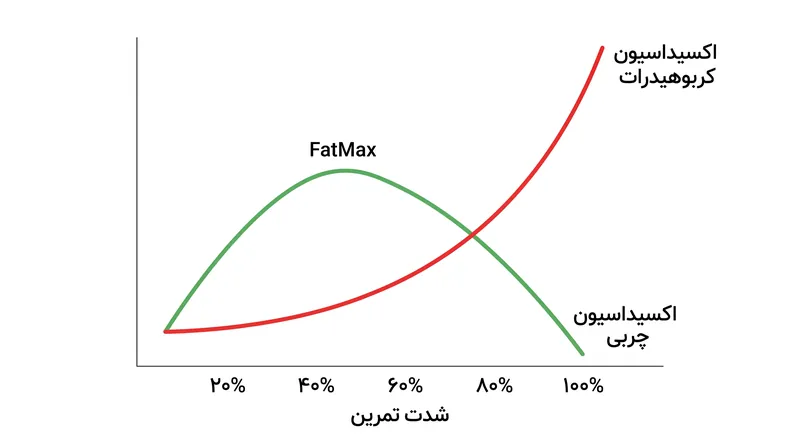 با افزایش شدت تمرین، بدن از سوزاندن چربی به تکیه بر کربوهیدرات‌ها تغییر می‌کند.