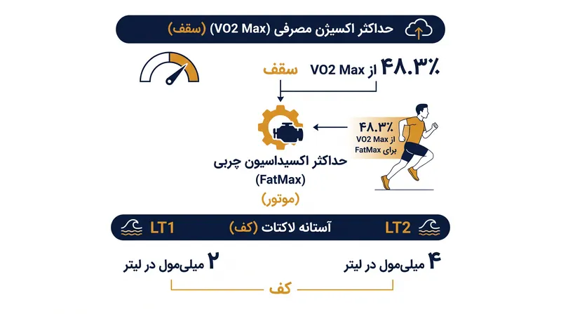 چگونه VO2 Max، آستانه لاکتات و FatMax شدت تمرین واقعی را تعریف می‌کنند.