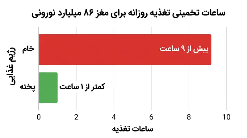 رژیم غذایی خام به دلیل ساعات مورد نیاز برای تغذیه، محدودیت متابولیک سختی را بر اندازه مغز تحمیل می‌کند.
