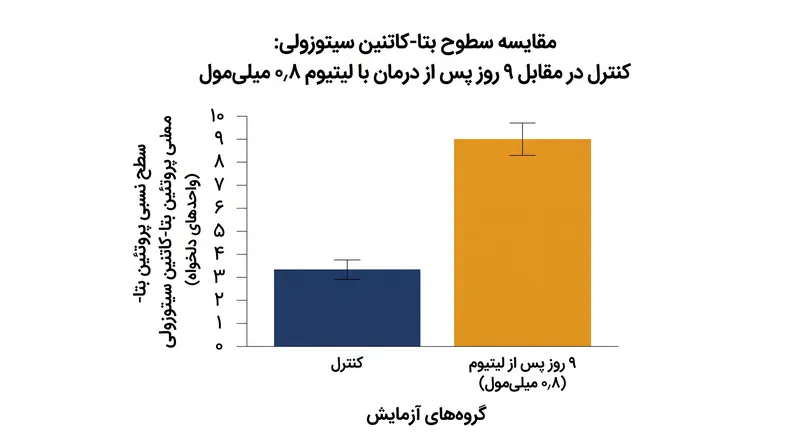 مهار GSK-3β با لیتیوم به سطح بتا-کاتنین اجازه می‌دهد تا افزایش یابد و تولید پروتئین‌های محافظت‌کننده عصبی را تحریک کند.