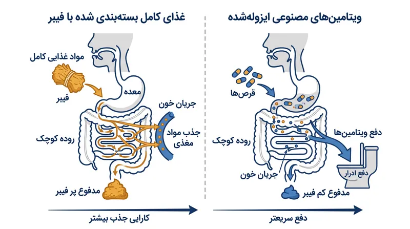 بدن انسان برای استخراج ریزمغذی‌ها از غذاهای کامل بهینه شده است و اغلب ترکیبات مصنوعی ایزوله‌شده را به سرعت دفع می‌کند.