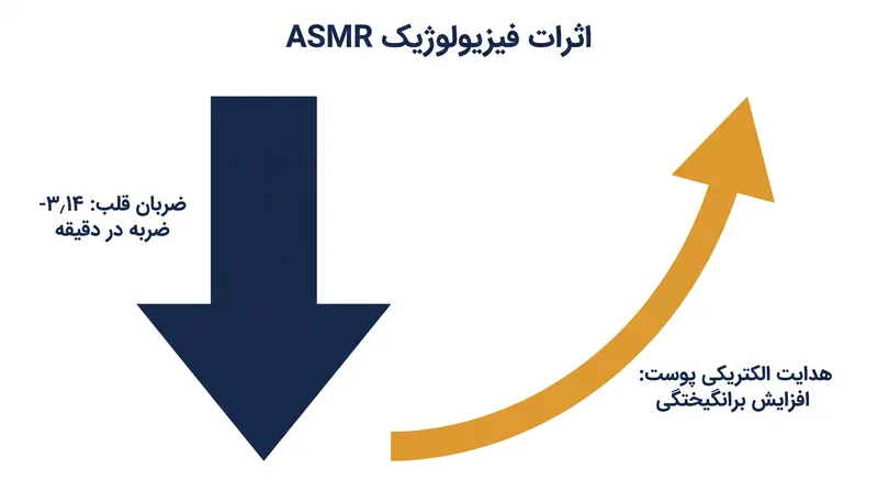 مطالعات بالینی نشان می‌دهند که ASMR حالت منحصر به فردی از «برانگیختگی آرام» ایجاد می‌کند و همزمان ضربان قلب را کاهش و هدایت الکتریکی پوست را افزایش می‌دهد.