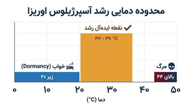 کنترل دما حیاتی‌ترین متغیر در کشت کوجی است.